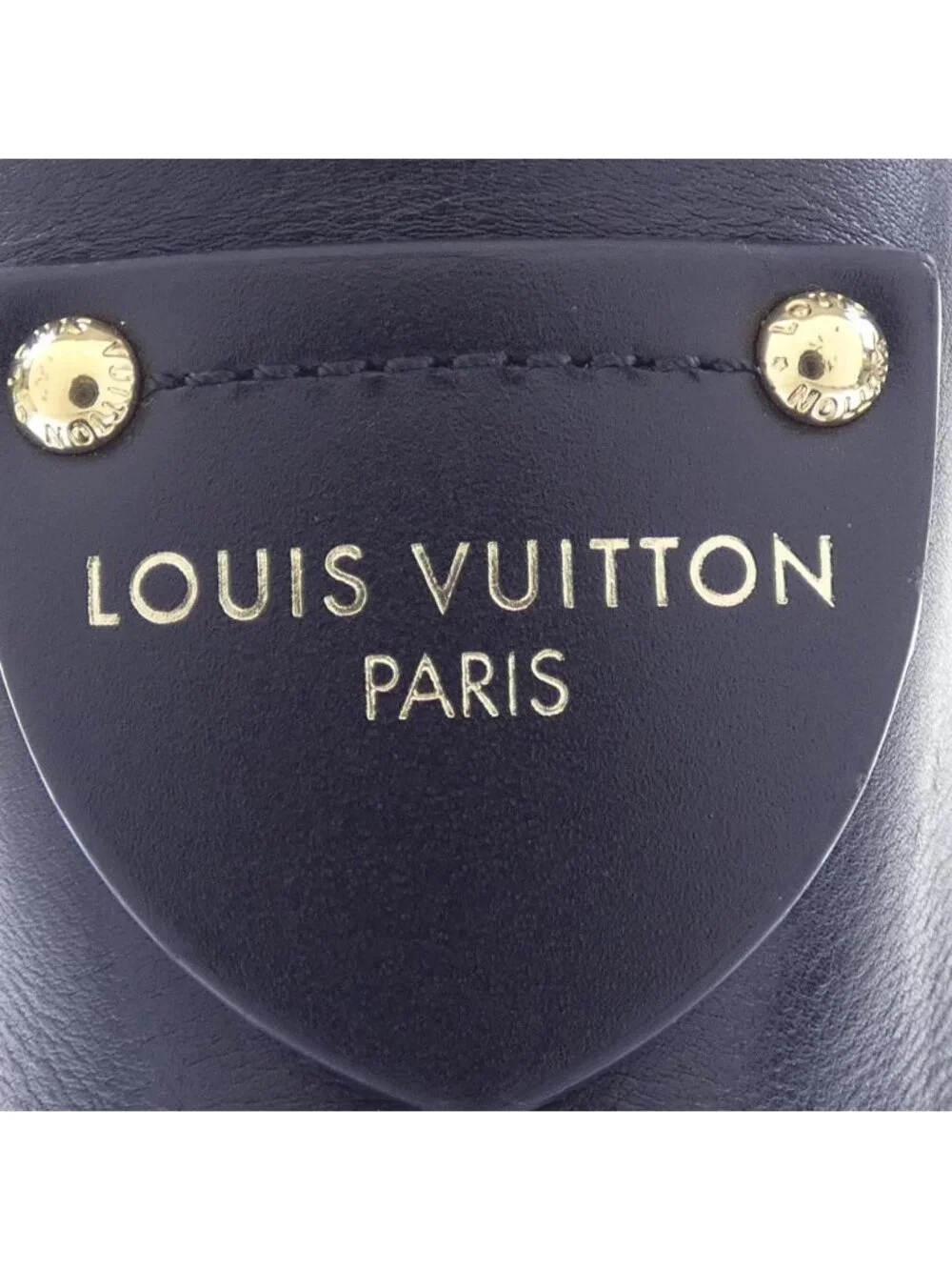 Louis Vuitton brand louis